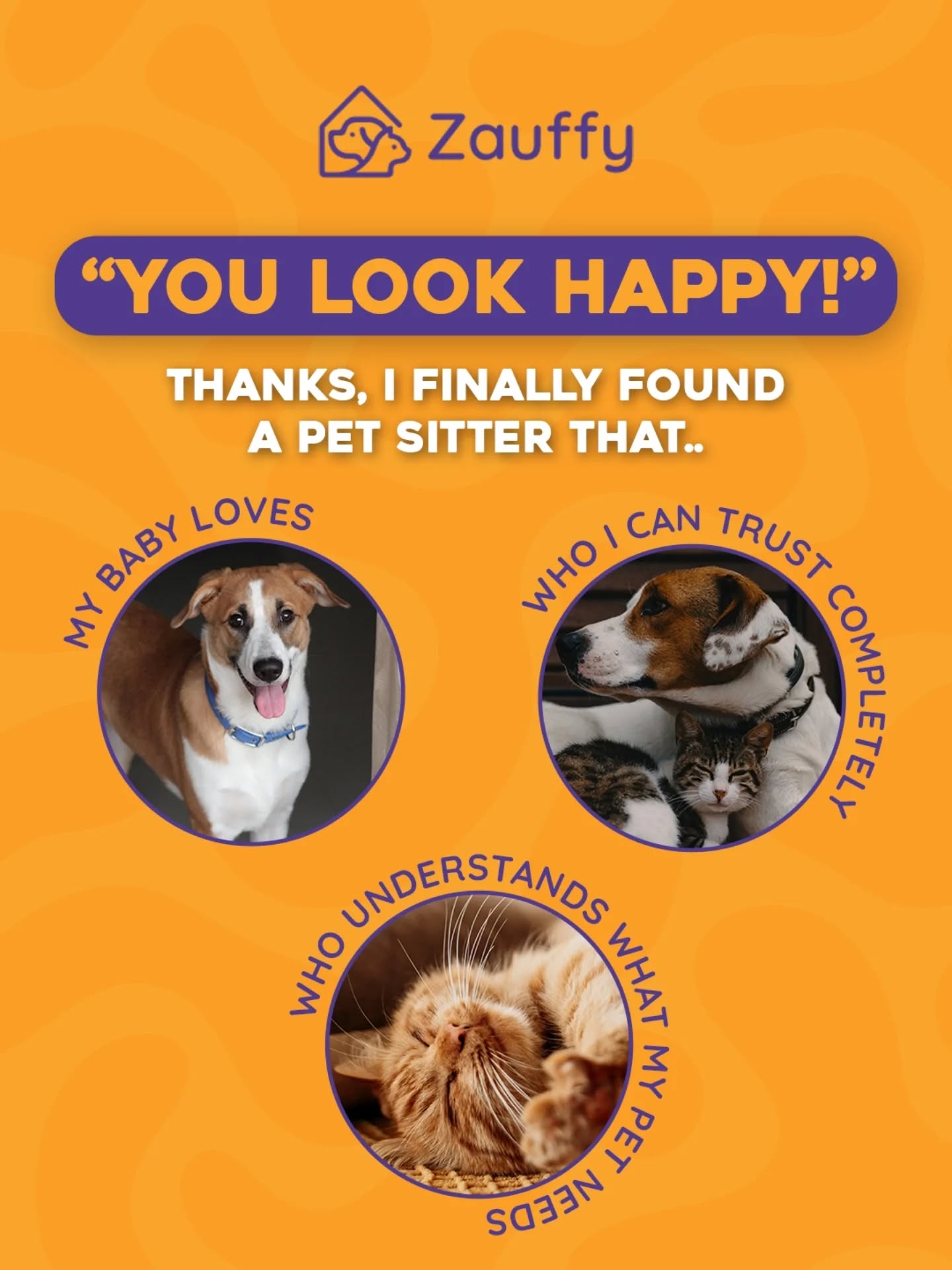 Inside a Zauffy host home